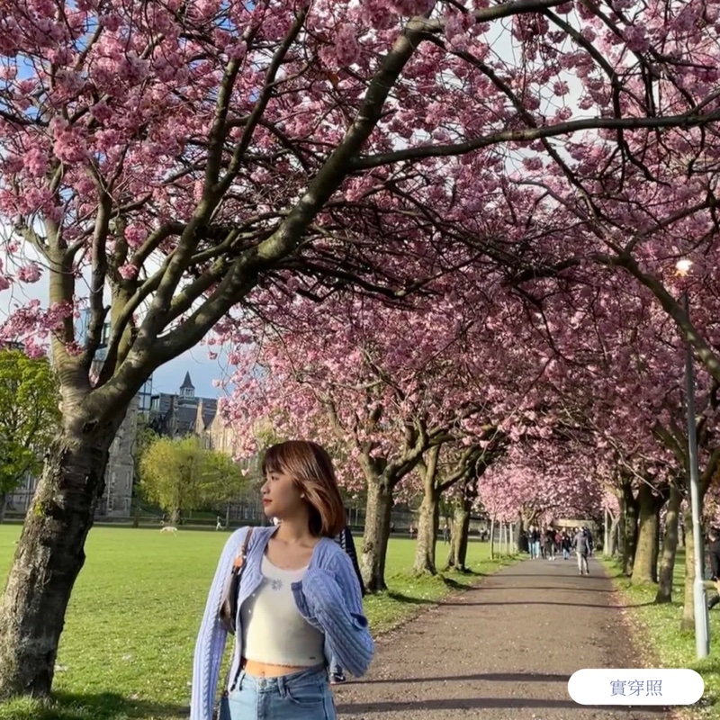 ［ 全新 ］Hollister 修身麻花針織開衫-3