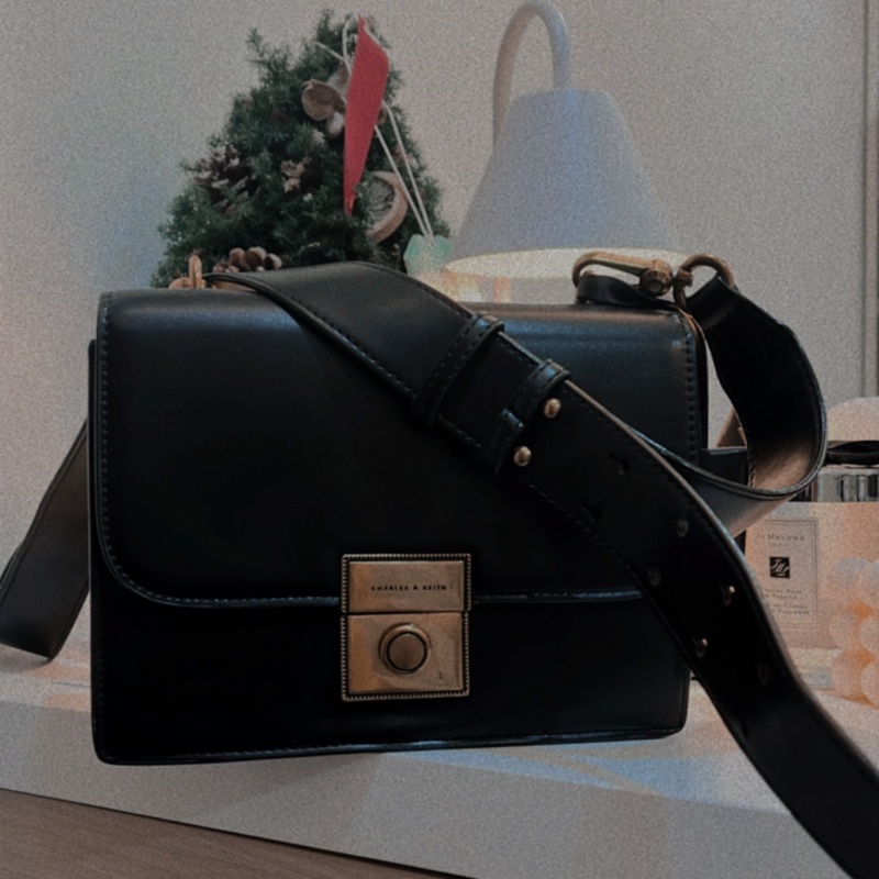 Charles & Keith 小ck經典吊牌風琴包-3