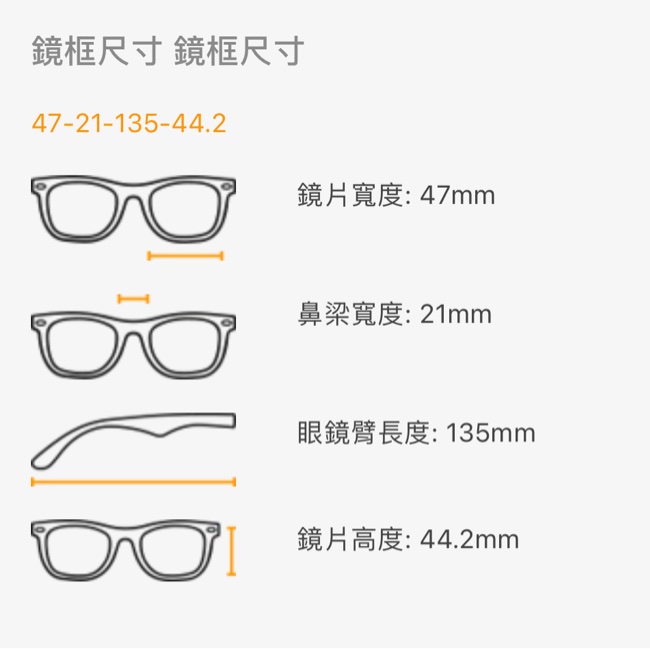 雷朋RayBan 復古圓框墨鏡 尺寸：47-3