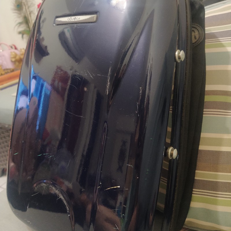 Lojel硬殼子母後背包-5