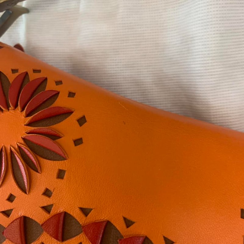 Dior 限量款雕花馬鞍-9