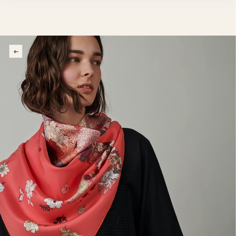 Hermes爆款絲巾~輕揚花衣-1