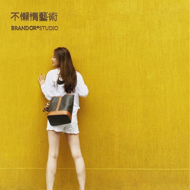 Celine 水桶包 中款 經典老花-12