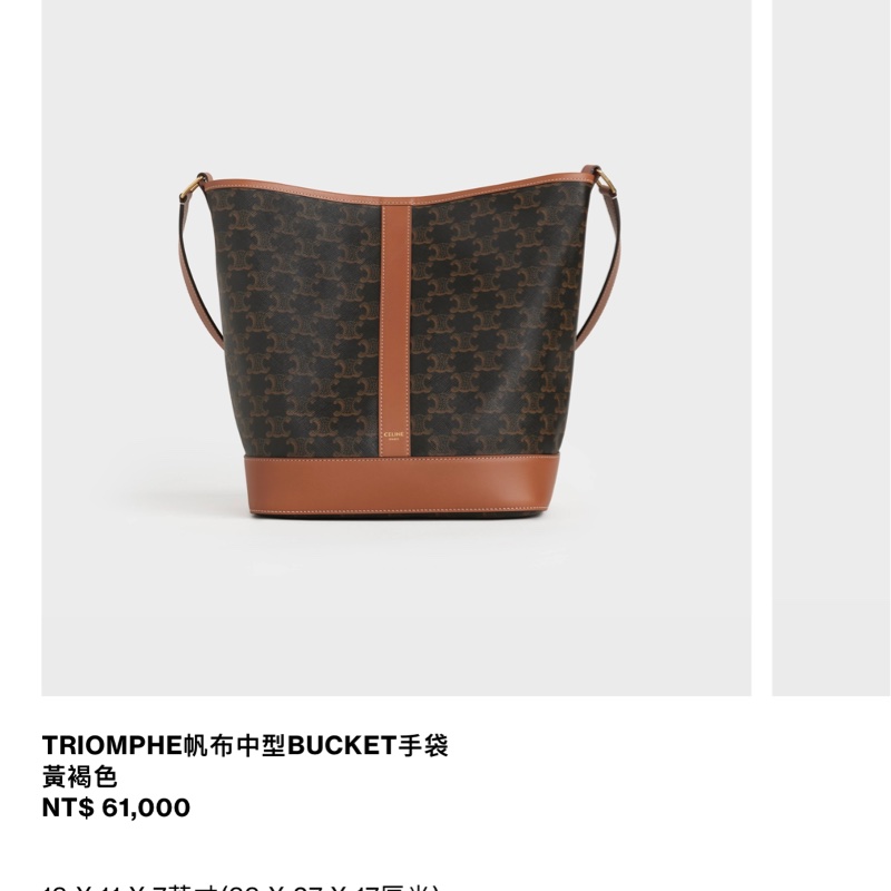 Celine 水桶包 中款 經典老花-15