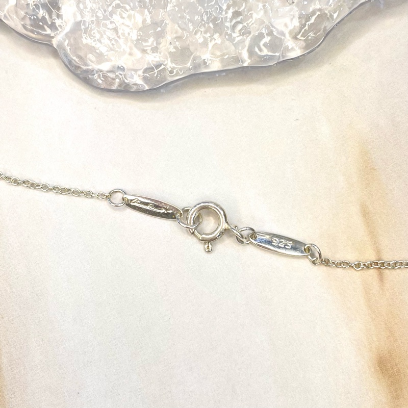 Tiffany & Co.雙環項鍊-5