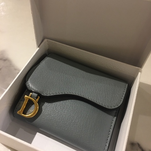 Dior saddle短夾