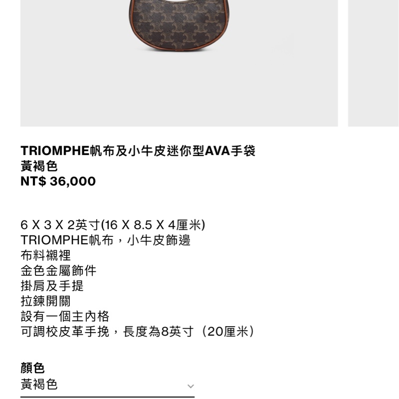 Triomphe帆布及小牛皮迷你包AVA手袋-3