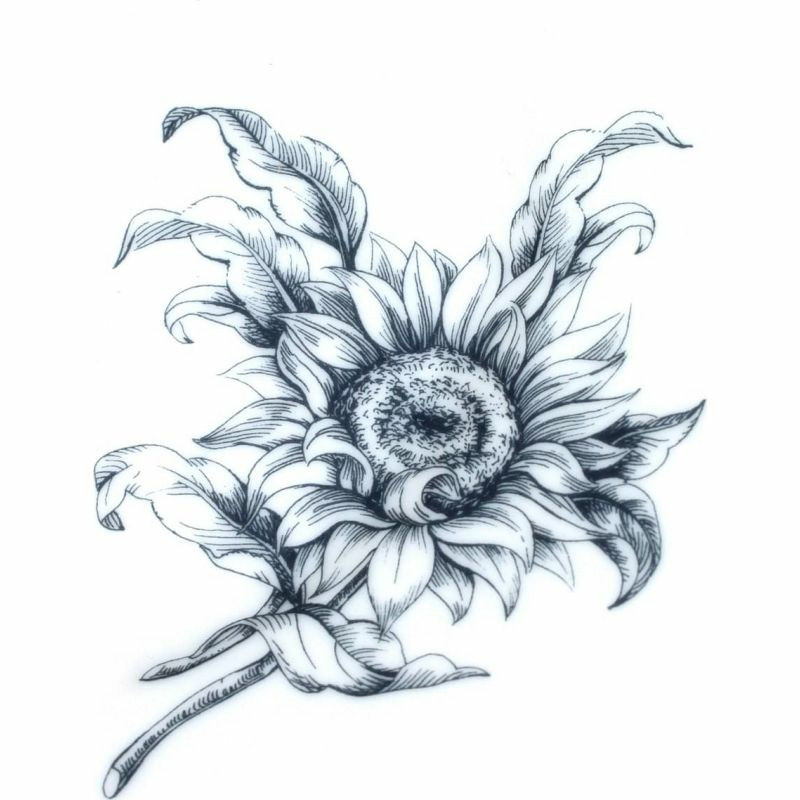 【義大利直送】全新品 Richard ginori 廚具 girasoli 家瓷白藍-2