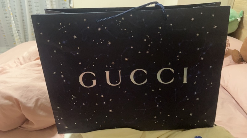 Gucci marmont 小型肩背包 紫色-22