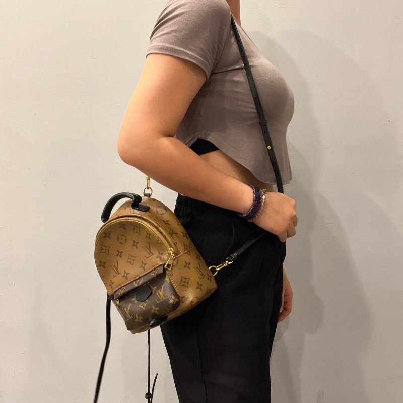 Louis Vuitton LV 老花字紋 雙色 迷小後背包/肩背包-10