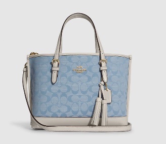 Coach mollie 25 全新未使用-9.5成新-15