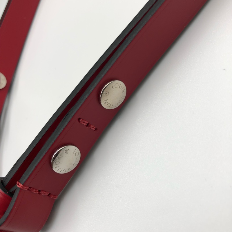 LV Neonoe MM 限定款 + 絲巾綁帶-10