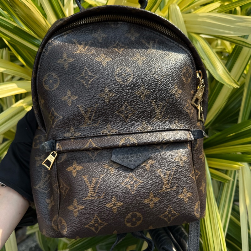 二手LOUIS VUITTON 原花 M44871小型後背包PALM SPRINGS PM孫芸芸款-0