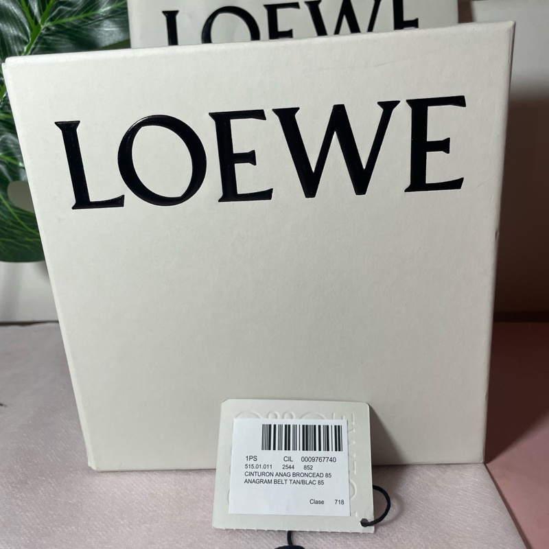 LOEWE 光滑小牛皮雙面 Anagram-9