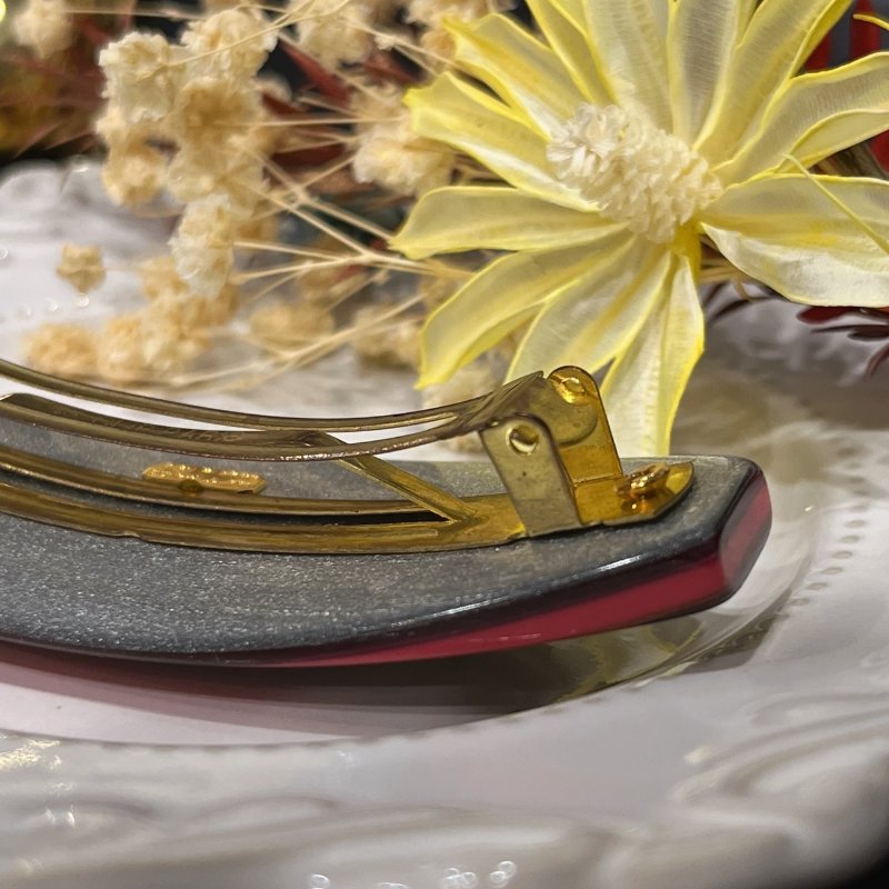 ETRO 拚色大LOGO髮夾/髮式/配件-4