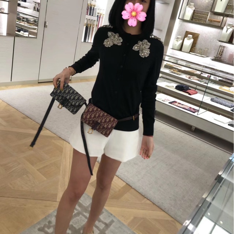 Dior S5619CTZQ_M974 酒红色 SADDLE DIOR OBLIQUE腰包-2