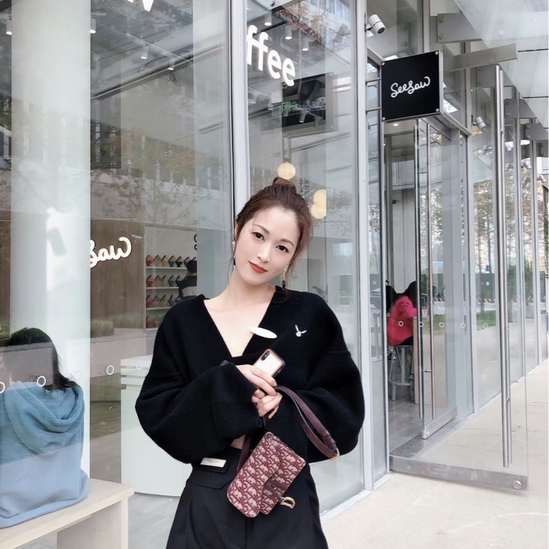 Dior S5619CTZQ_M974 酒红色 SADDLE DIOR OBLIQUE腰包-35