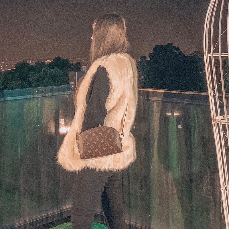 Lv PM Monogram 大號化妝包-3