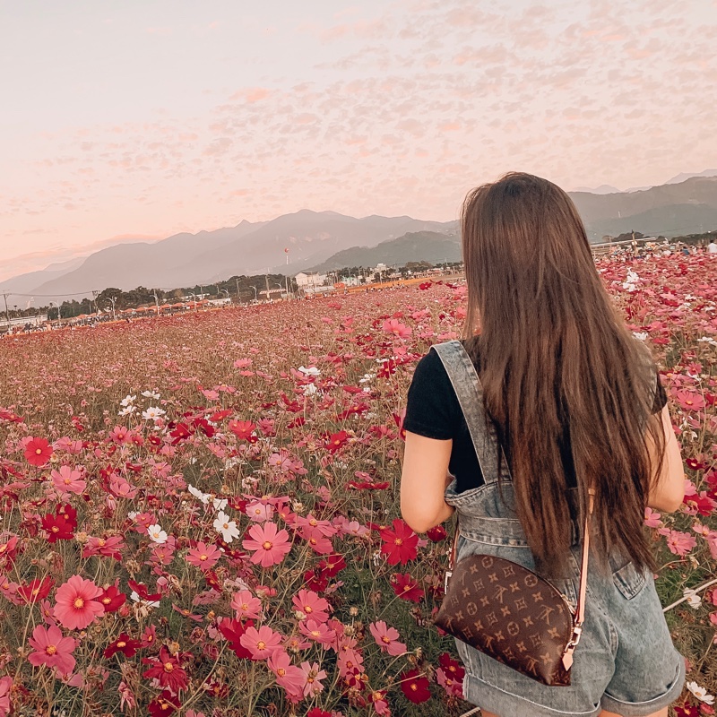 Lv PM Monogram 大號化妝包-4