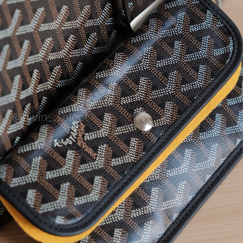 Goyard saint Louis pm tote bag狗牙托特包-4