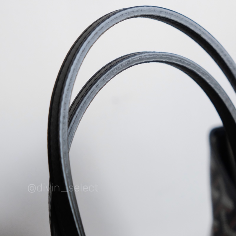 Goyard saint Louis pm tote bag狗牙托特包-7