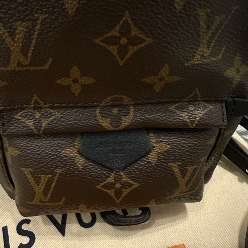 LV Palm Springs Mini 後背包 小紅書 歐美 ins傳搭-25