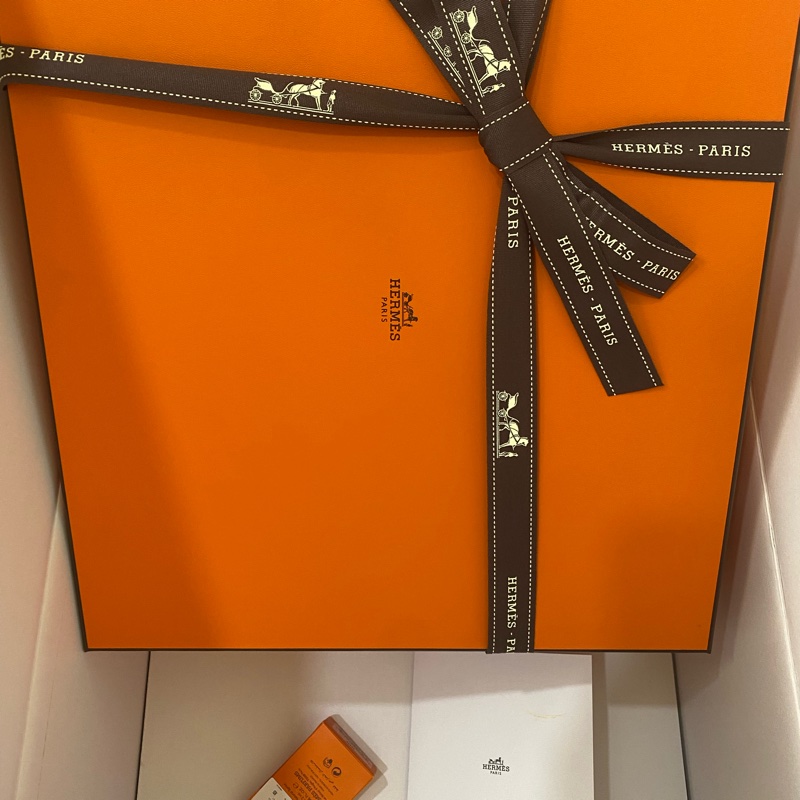 台灣官網全新愛馬仕 Herbag 31 全黑銀釦 Hermes-3