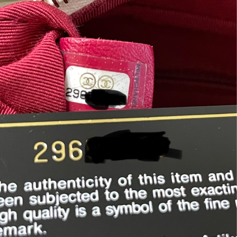 CHANEL 香奈兒 黑白熊貓色 流浪包-23