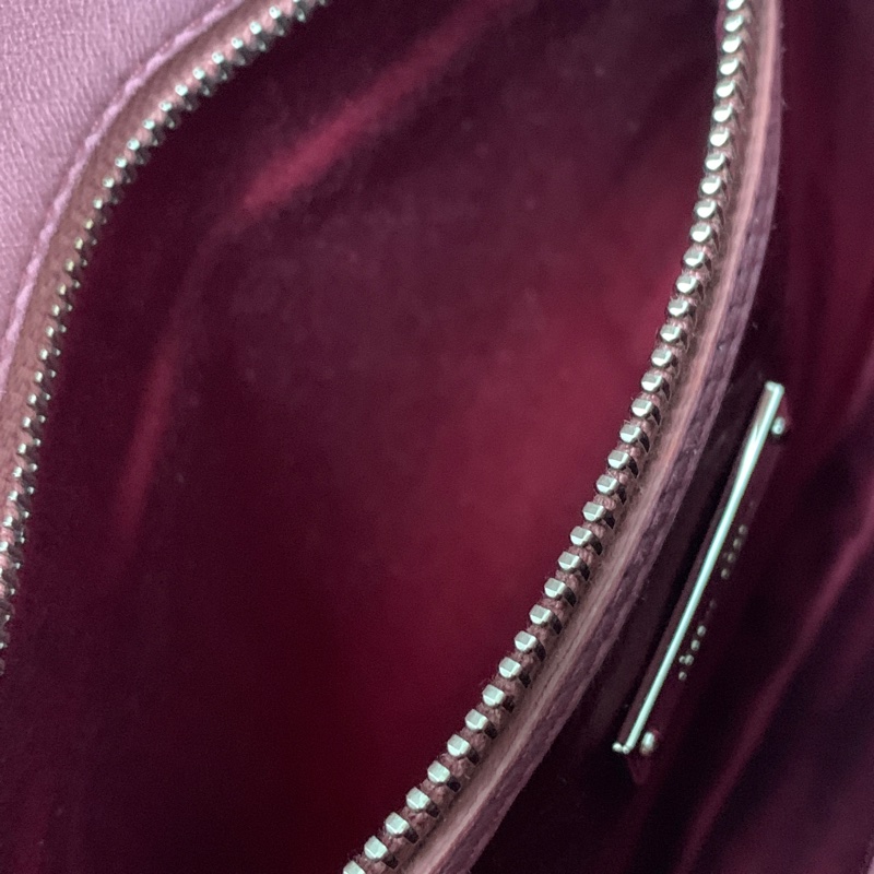 粉色旋風~Miu Miu 經典水晶背帶皺摺皮包-8