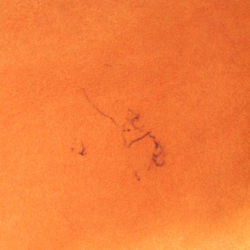 【日本直送】路易威登 Epi Cluny M52253 女士單肩包 肯尼亞棕色-14