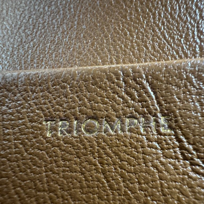 CELINE | 焦糖帆布凱旋門 Triomphe Bag-18