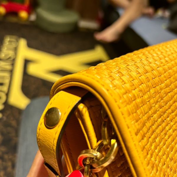 GUCCI Horsebit 1955 招財黃草編鍊袋包-12