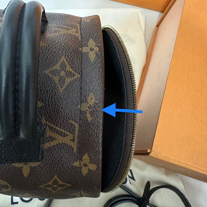 LOLIS VUITTON PALM SPRINGS MINI LV小書包-10