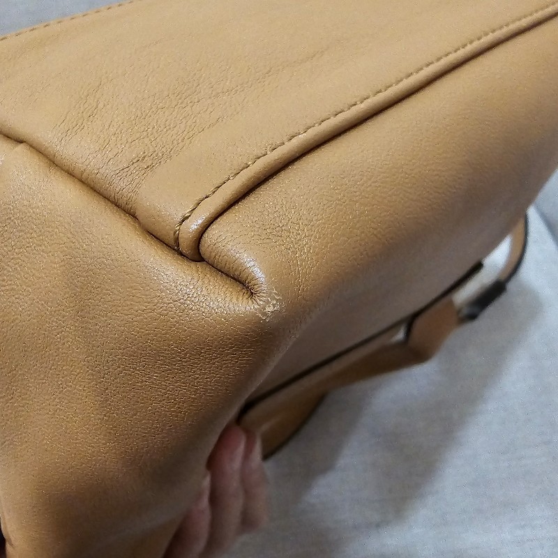 Longchamp Le Pliage Cuir 小羊皮 餃子包尺寸XS-20