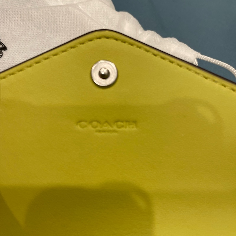 coach-20