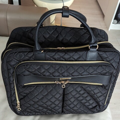 Bagsmart rolling laptop bag 電腦旅行包