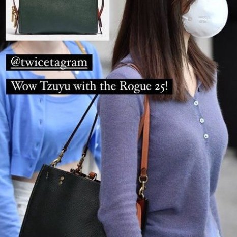 COACH ROGUE 25 棒球手套鞣製皮革-9