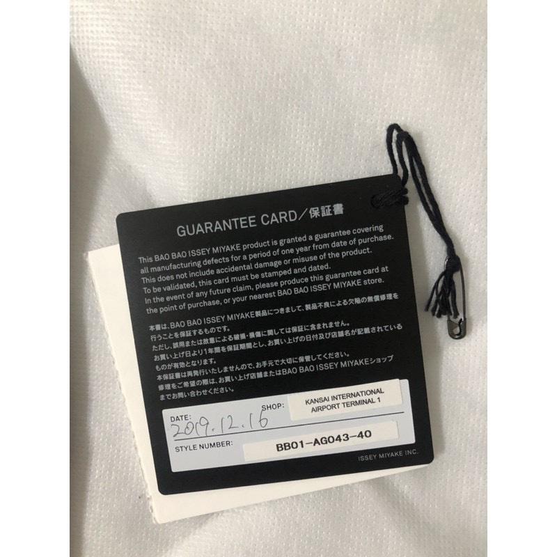 三宅一生bao bao 10*10奶茶色-4