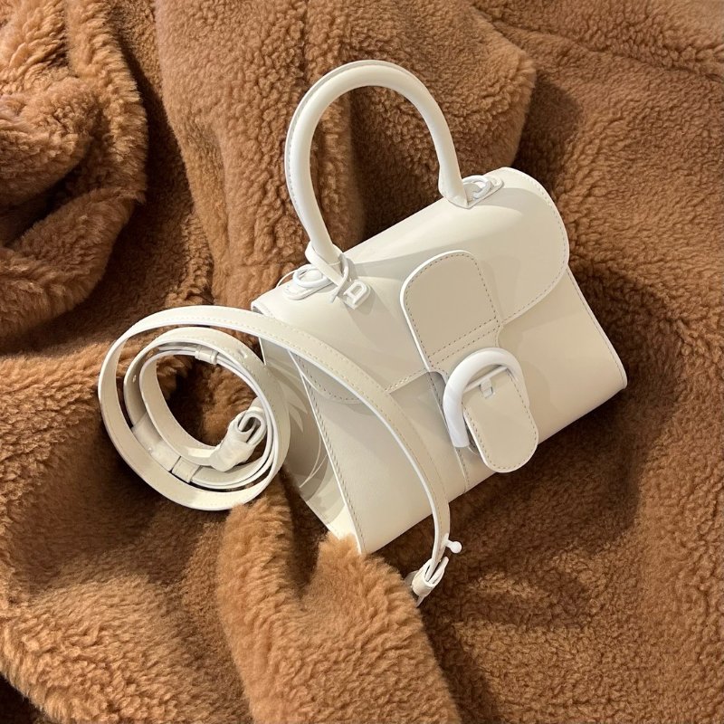 Delvaux Box 小牛皮Mini Brillant包白色｜PopChill 拍拍圈
