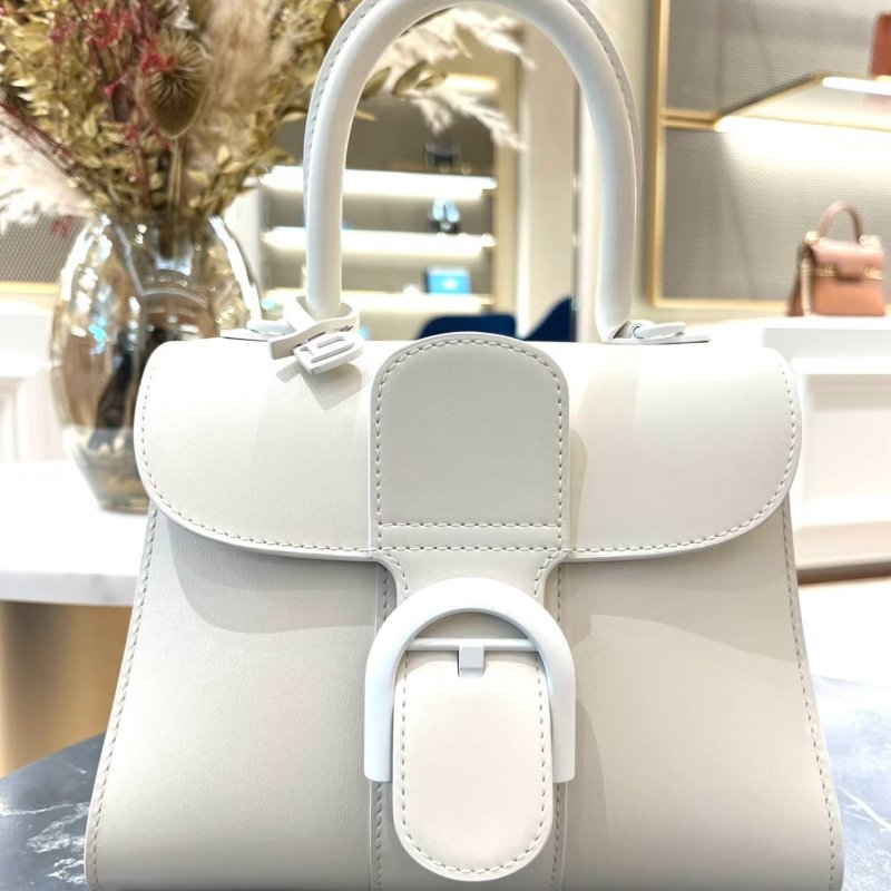 Delvaux Box 小牛皮 Mini Brillant包 白色-5