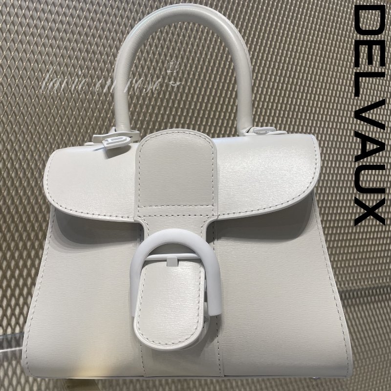 Delvaux Box 小牛皮 Mini Brillant包 白色-7