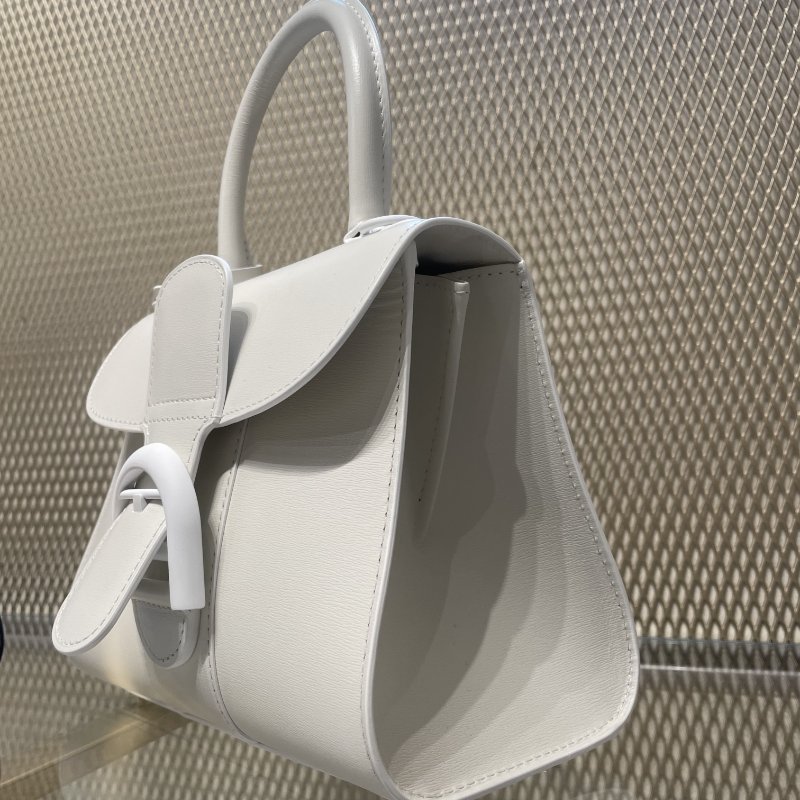 Delvaux Box 小牛皮 Mini Brillant包 白色-8