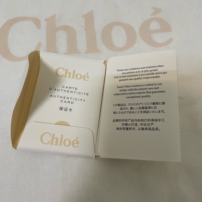 Chloe 中款 woody 帆布皮革托特包-17