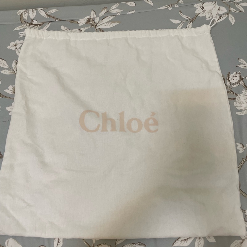 Chloe 中款 woody 帆布皮革托特包-19