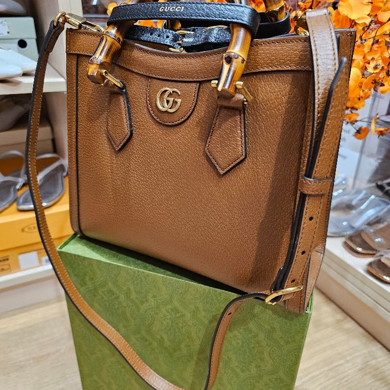 GUCCi-6