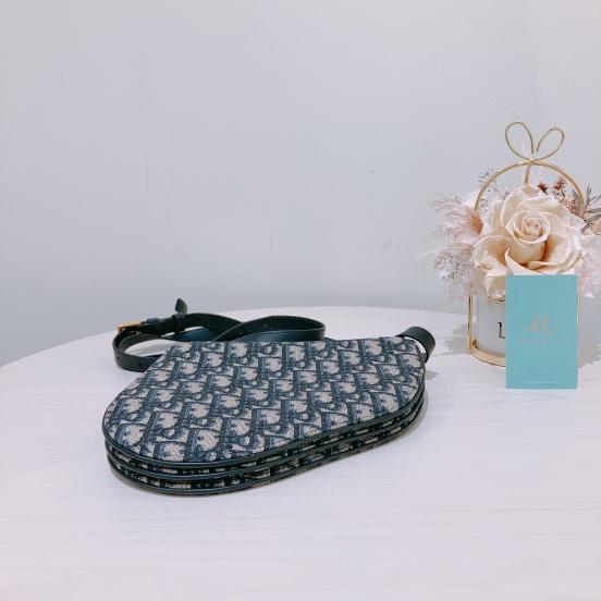 CHRISTIAN DIOR TRIO SADDLE CROSSBODY BAG 迪奧老花包 馬鞍包-4