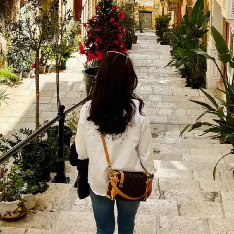 LV 全新Side Trunk老花手提肩背箱包-0