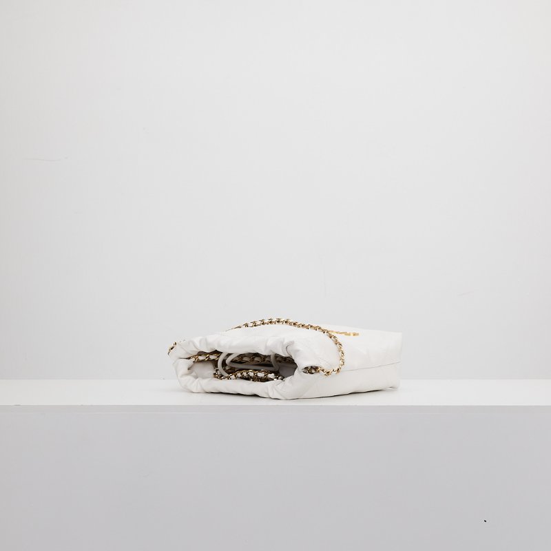 Chanel mini 22bag 新款白金-6