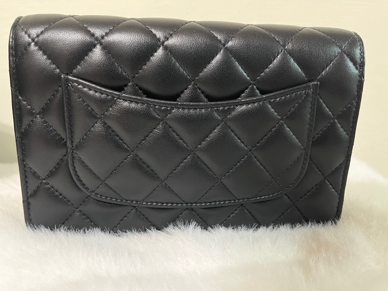 降價 Chanel 2023/24 cruise collection 香奈兒 新款漸層銀扣雙色鏈條包 wallet on chain WOC 情人節禮物-7