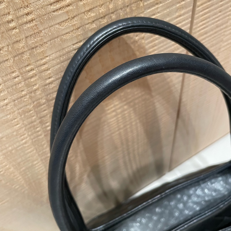 Chanel 銀幣希爾頓包-5